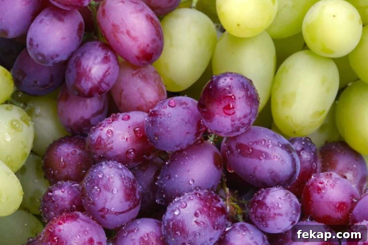 15 Common Foods That Are Toxic to Dogs 3 Grapes