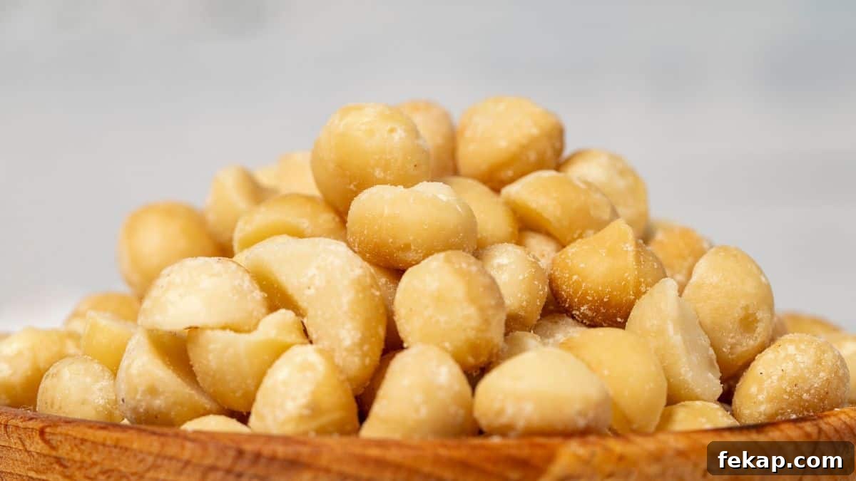 15 Common Foods That Are Toxic to Dogs 6 macadamia nuts