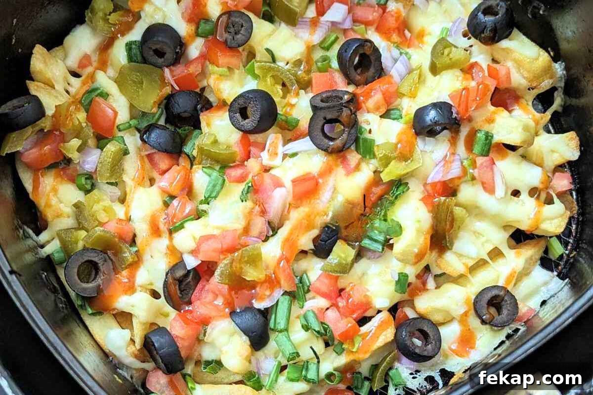 Air Fryer Potato Recipes for Crispy Golden Potatoes 3 Air fryer loaded fries with melted cheese and toppings