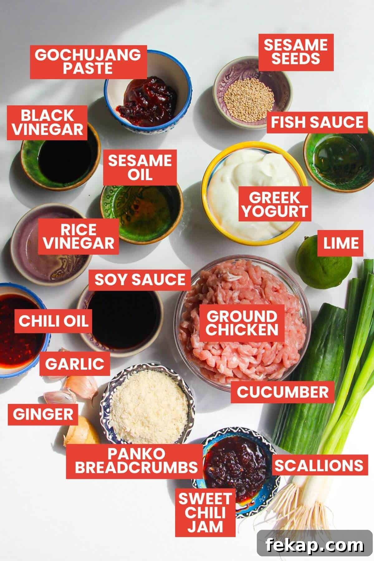 Ingredients for dumpling meatballs laid out and labelled.