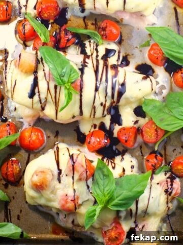 Sheet pan Caprese Chicken on sheet pan with basil and grape tomatoes