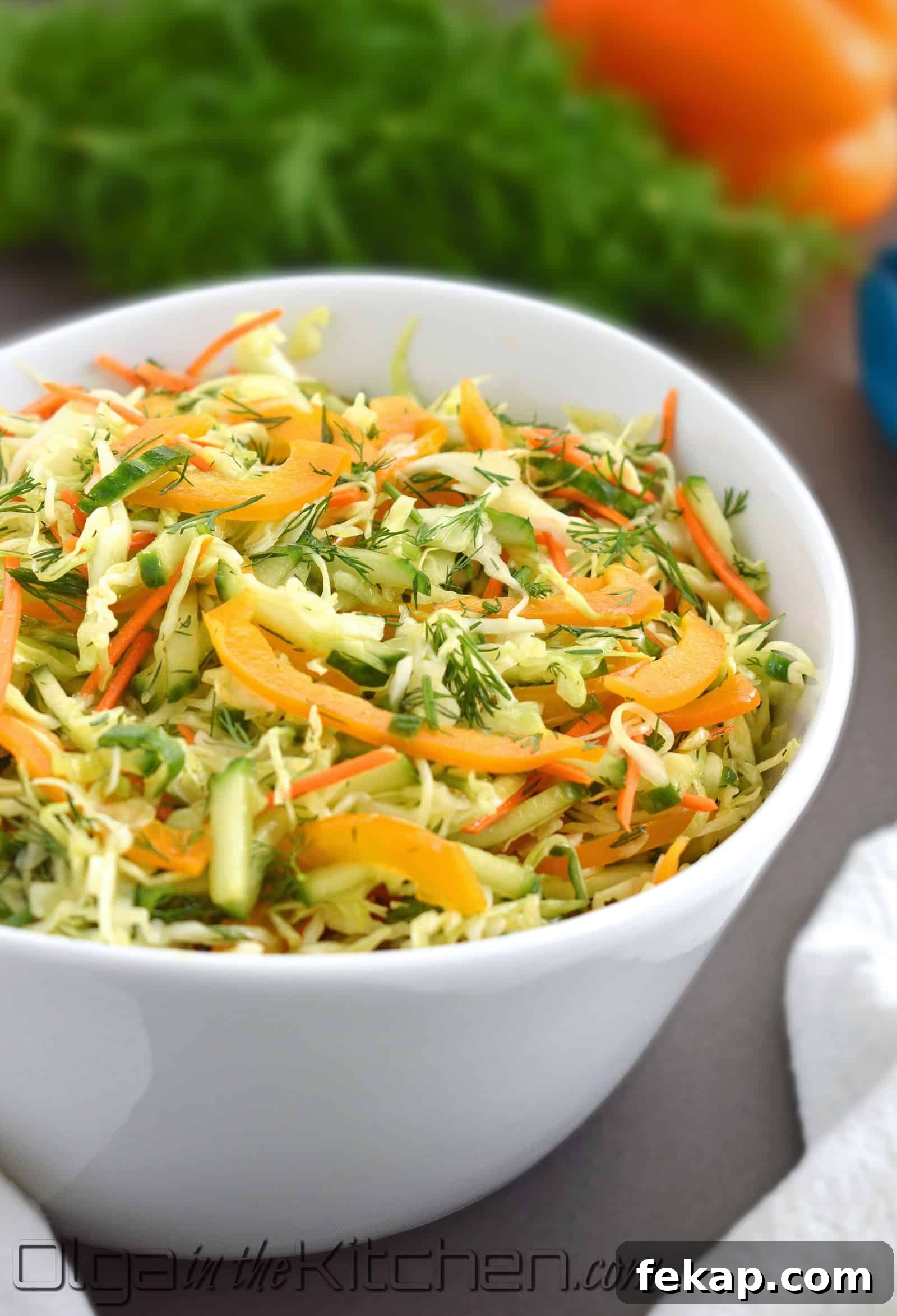 Crunchy Cabbage, Carrot and Bell Pepper Salad 2 img 2620 1