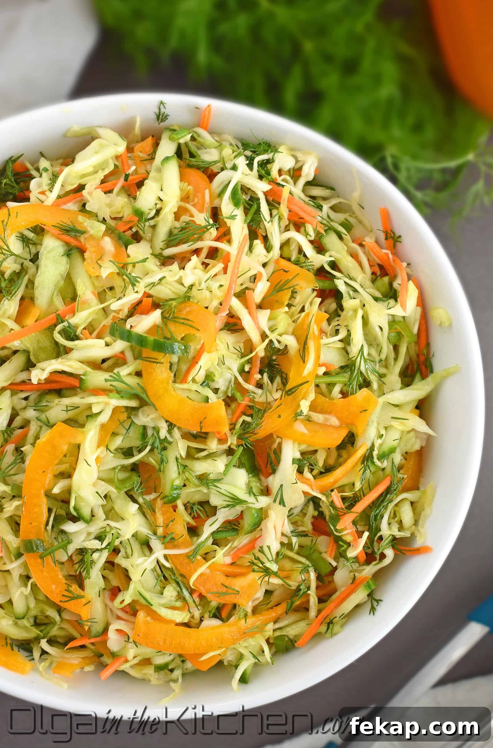Crunchy Cabbage, Carrot and Bell Pepper Salad 3 img 2620 2