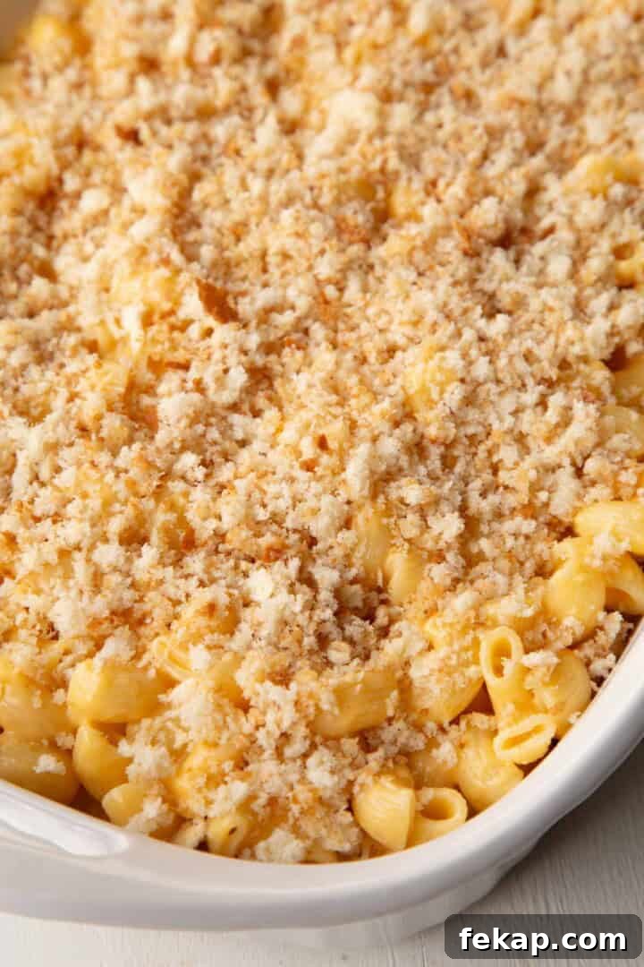 Creamy Old Fashioned Mac and Cheese Recipe 11 breadcrumbs on top of macaroni and cheese in a baking dish.