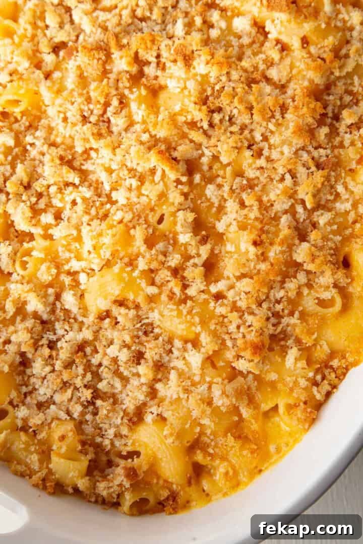 Creamy Old Fashioned Mac and Cheese Recipe 12 macaroni and cheese topped with crispy breadcrumbs.