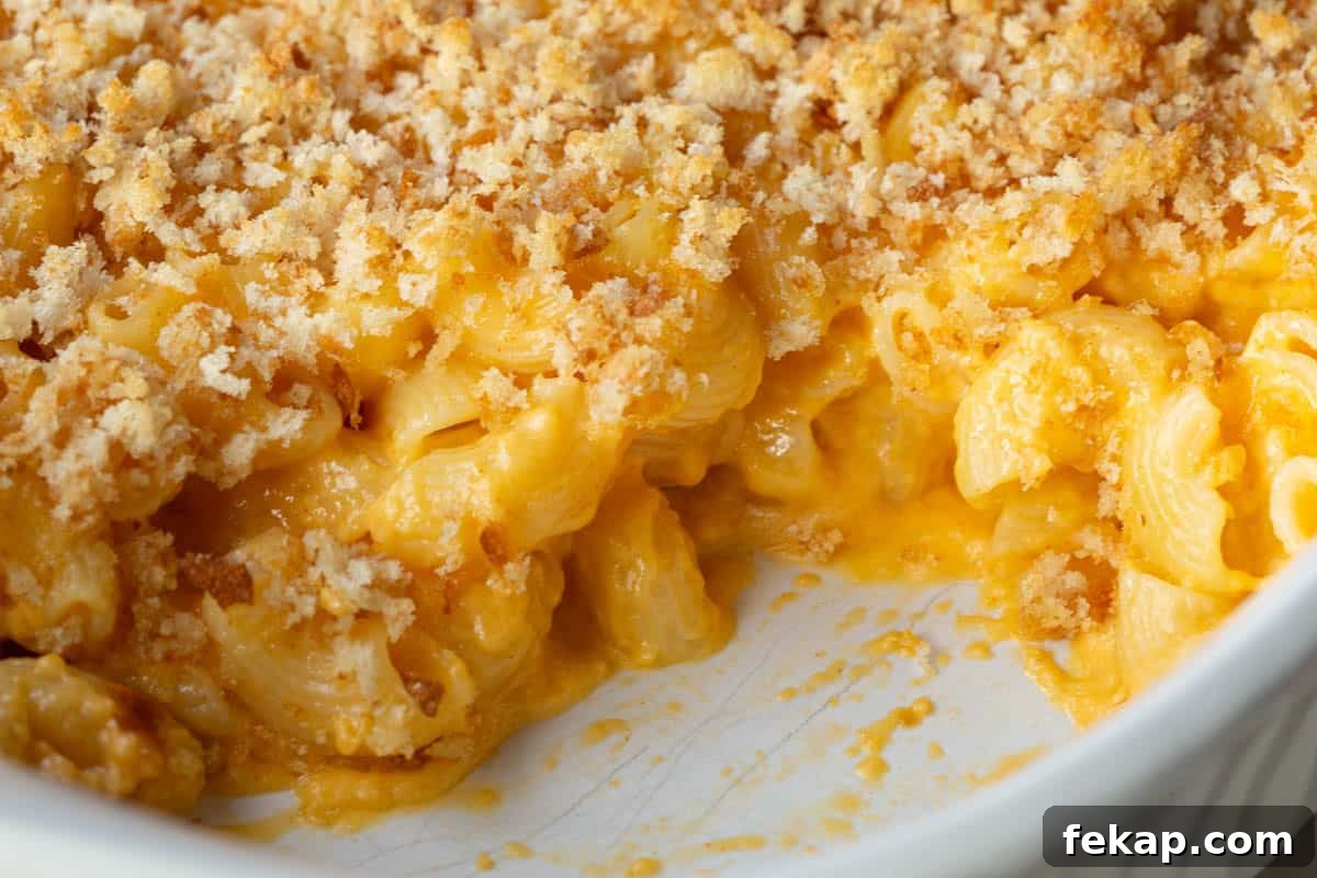 Creamy Old Fashioned Mac and Cheese Recipe 13 casserole dish filled with mac and cheese topped with crispy breadcrumbs.