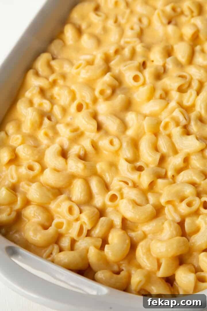 Creamy Old Fashioned Mac and Cheese Recipe 10 macaroni coated in a creamy cheese sauce in a baking dish.