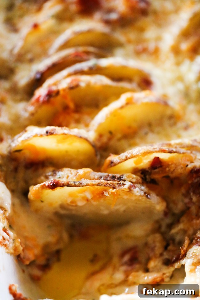 Cheesy Bacon Ranch Scalloped Potatoes Recipe 4 Golden brown top on bacon ranch scalloped potatoes