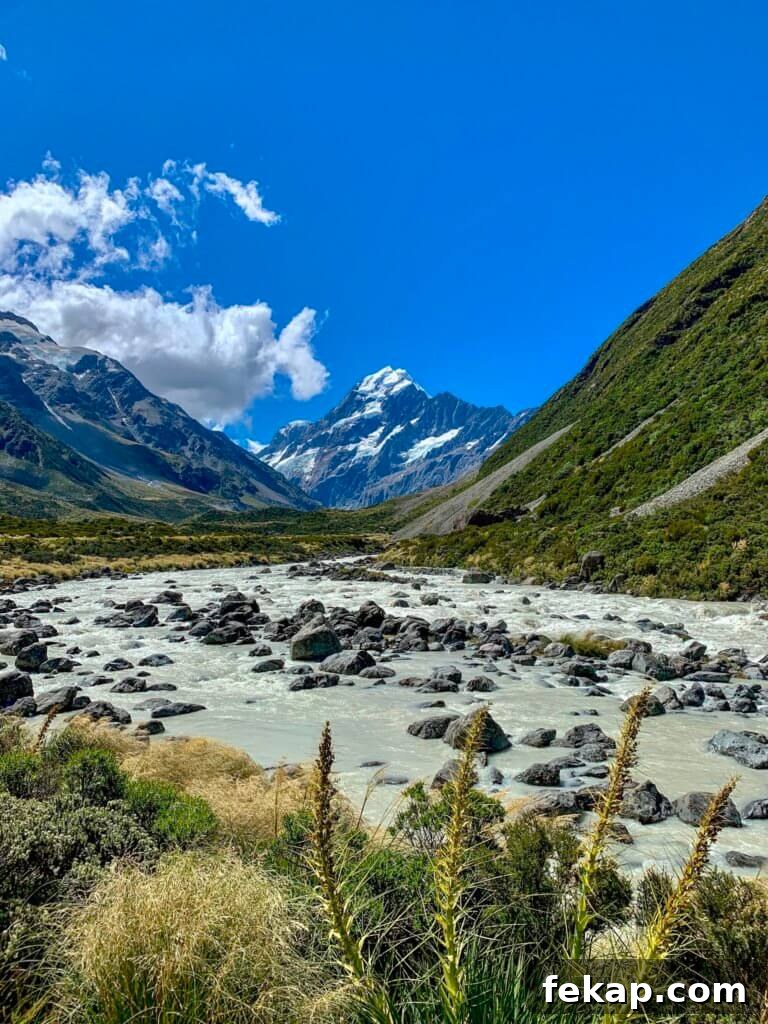How to Save Money on a New Zealand Trip 2 How to save money in New Zealand