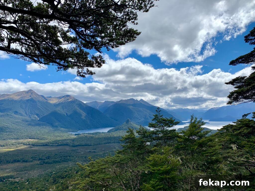 How to Save Money on a New Zealand Trip 11 Free hike Fiordland National Park