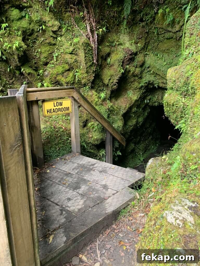 How to Save Money on a New Zealand Trip 13 Free hike: Glowworm Caves