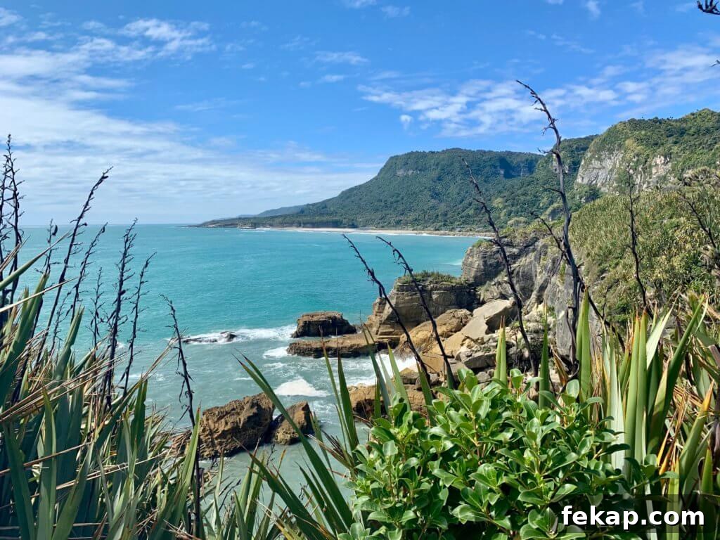 How to Save Money on a New Zealand Trip 14 Free Hike: Pancake Rocks
