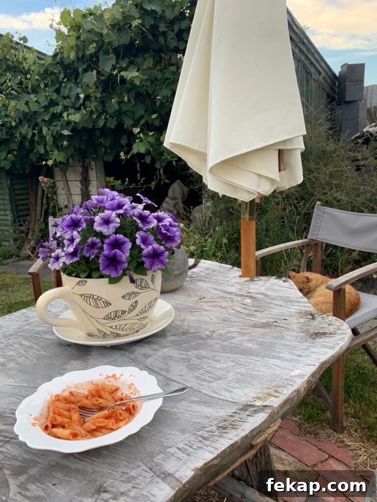 How to Save Money on a New Zealand Trip 5 Save money in new zealand and cook your own food