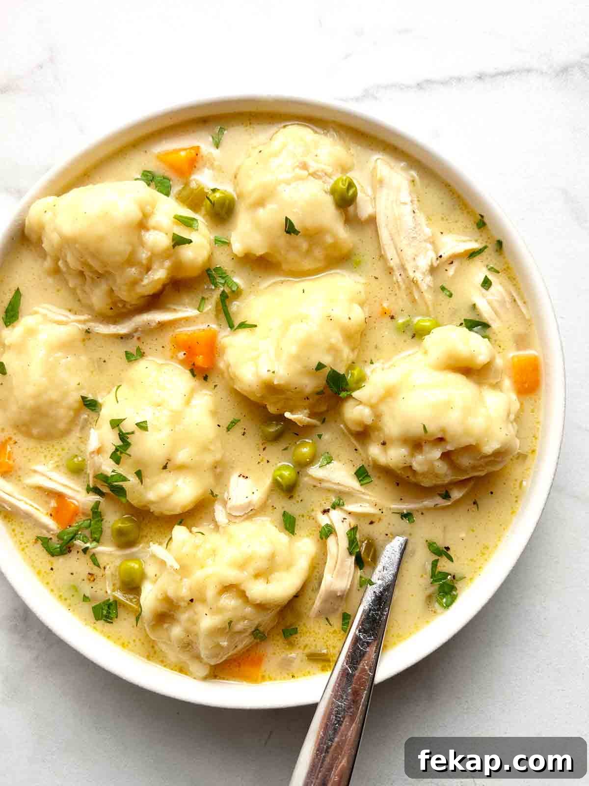 close up on bowl of chicken and dumplings.