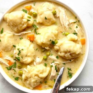 close up on bowl of chicken and dumplings.