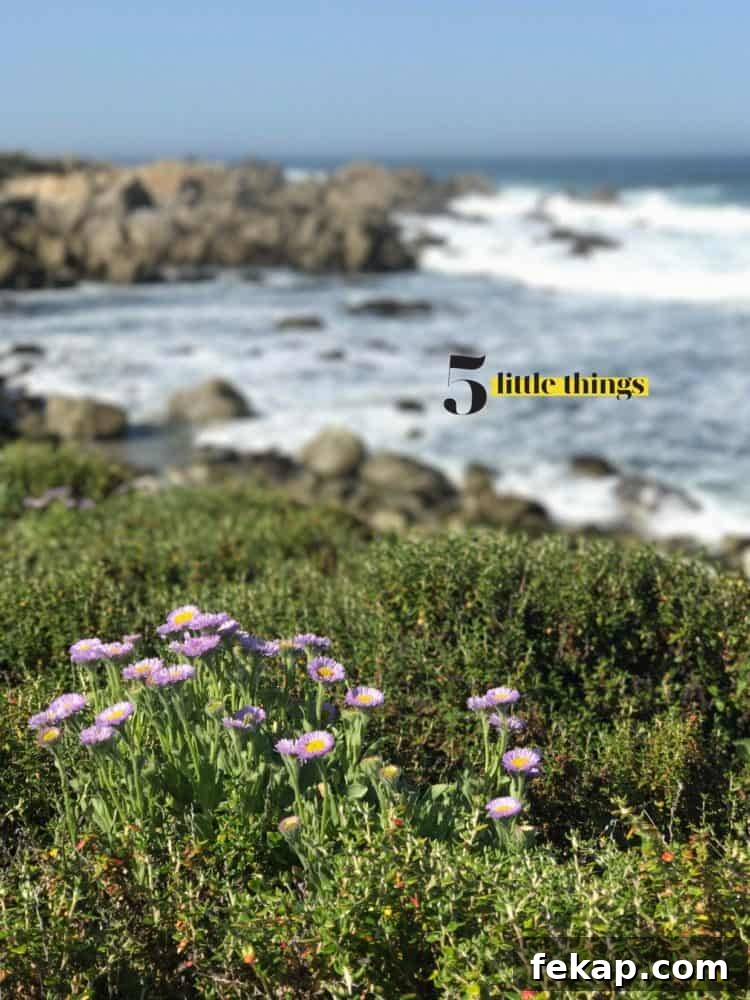 5 Small Habits That Make a Big Difference 2 Five Little Things I loved the week of April 28, 2017.