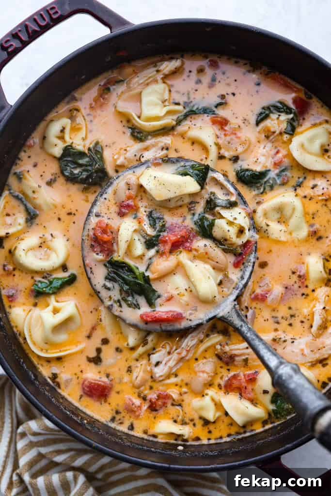 Creamy Tuscan garlic tortellini soup.