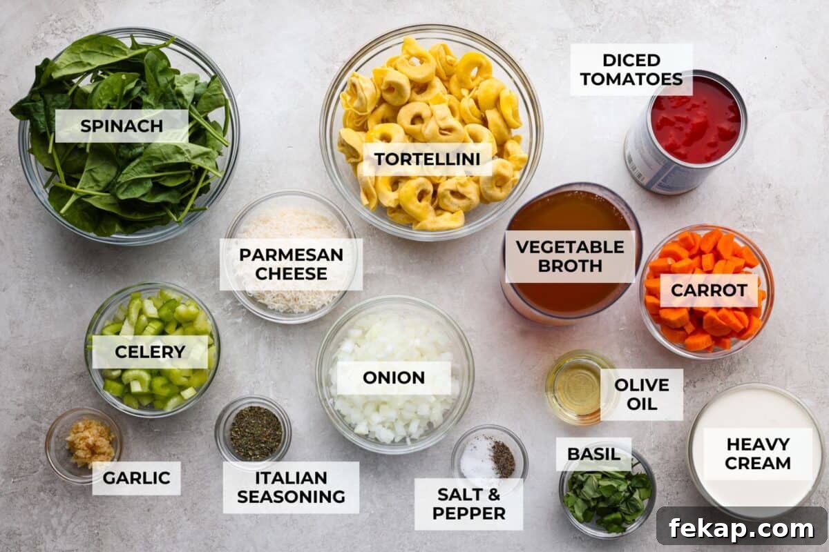 Overhead shot of labeled creamy vegetable tortellini soup ingredients.