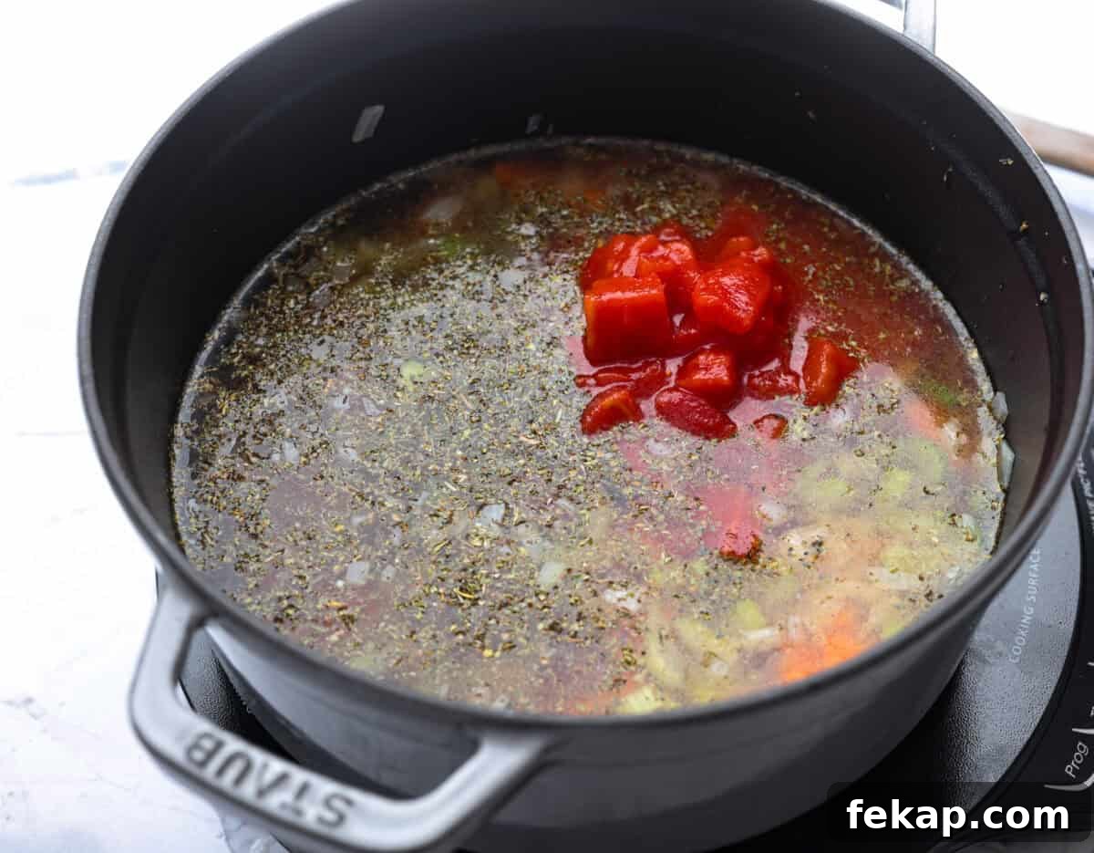 Vegetable broth, tomatoes, and seasonings added to the pot.