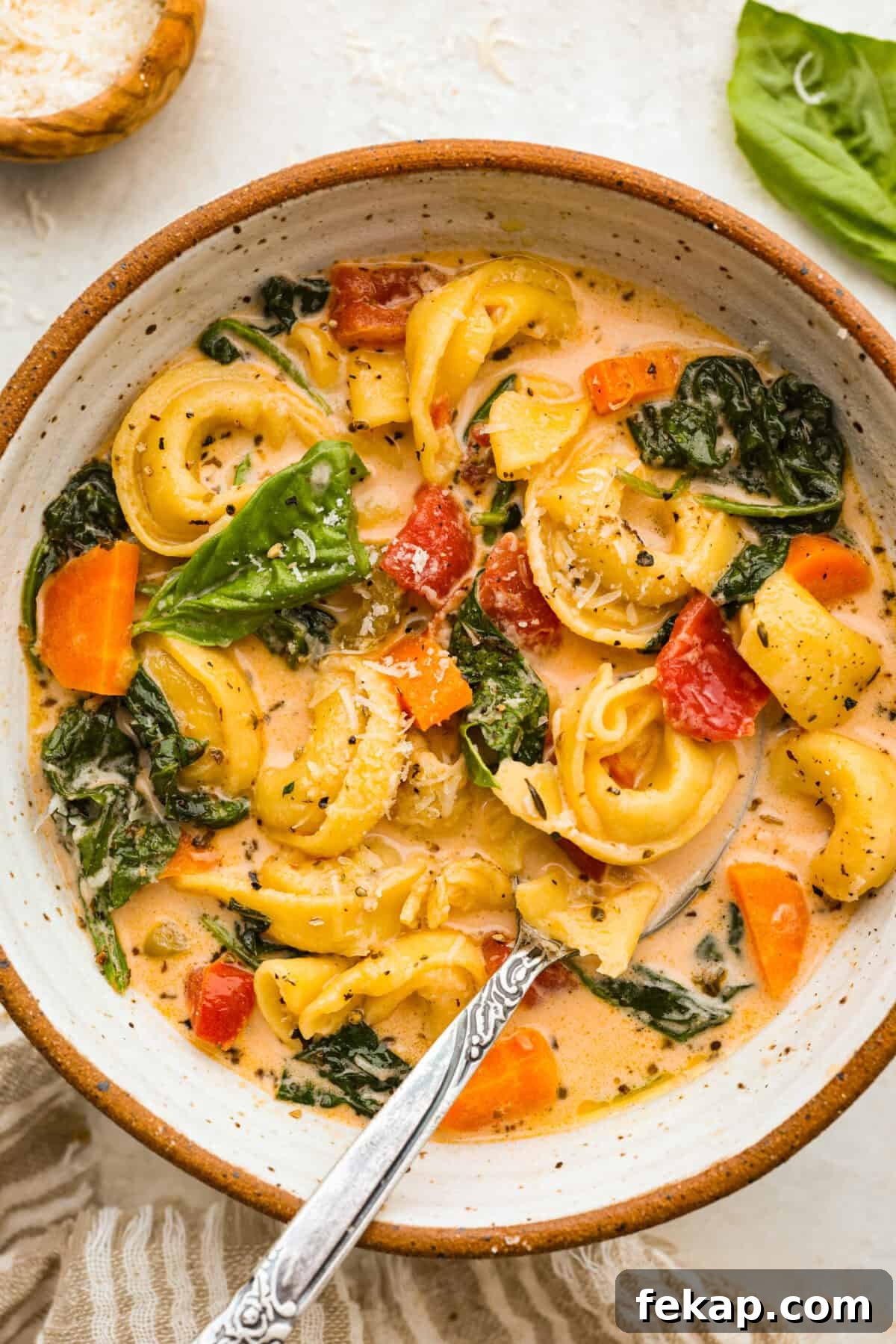 Bowl of creamy vegetable tortellini soup.