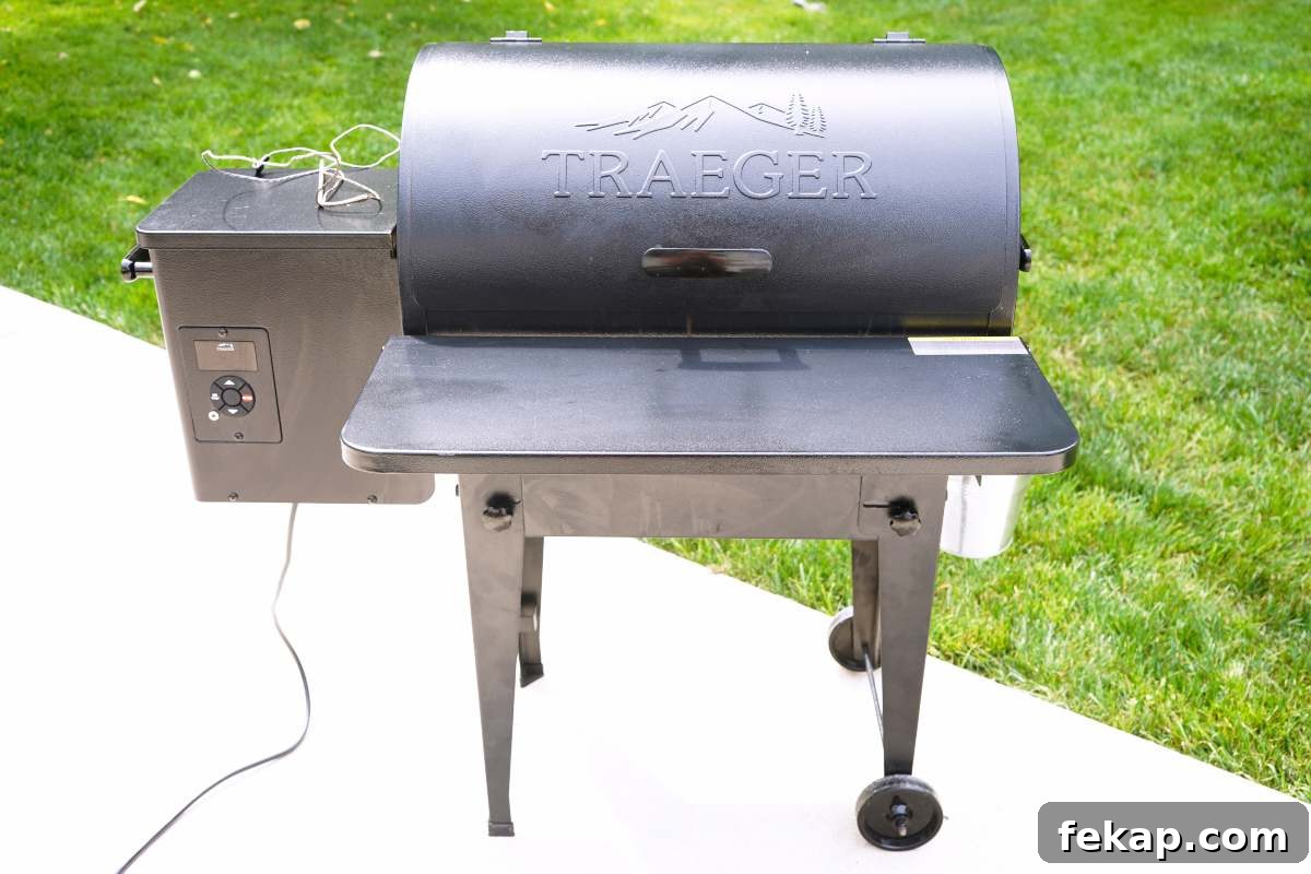 Traeger Tailgater Wood Pellet Smoker