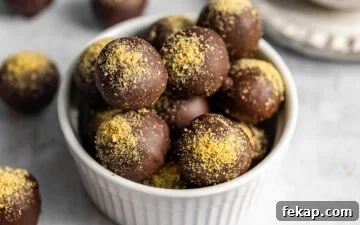 No-Bake Cheesecake Balls coated in chocolate and sprinkled with graham cracker crumbs sitting in a small bowl.