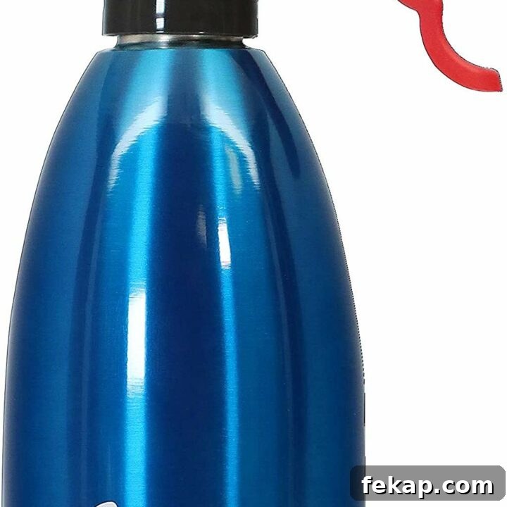 Evo oil sprayer