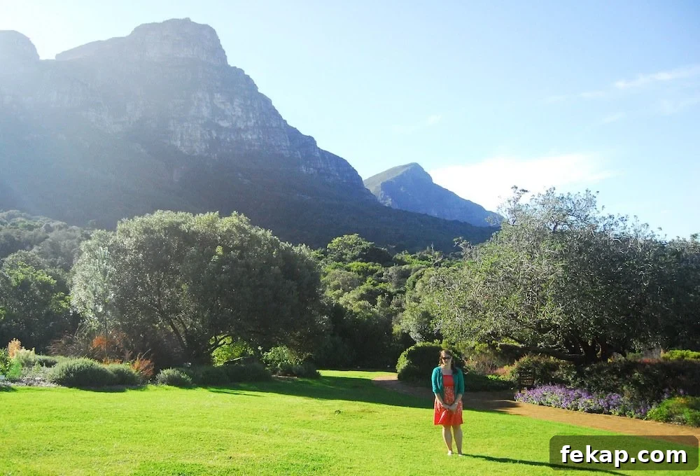 Leaving South Africa: Why I Said Goodbye 12 Kirstenbosch National Botanical Garden