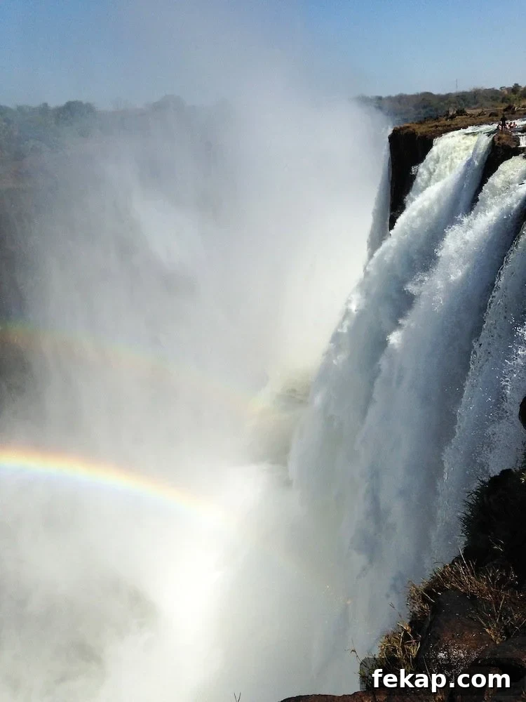 Leaving South Africa: Why I Said Goodbye 13 View of Devil’s Pool and Victoria Falls
