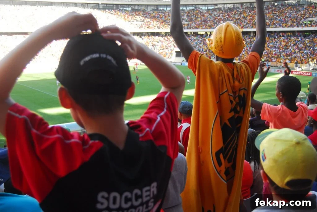 Leaving South Africa: Why I Said Goodbye 15 Fans at a soccer match at Cape Town Stadium