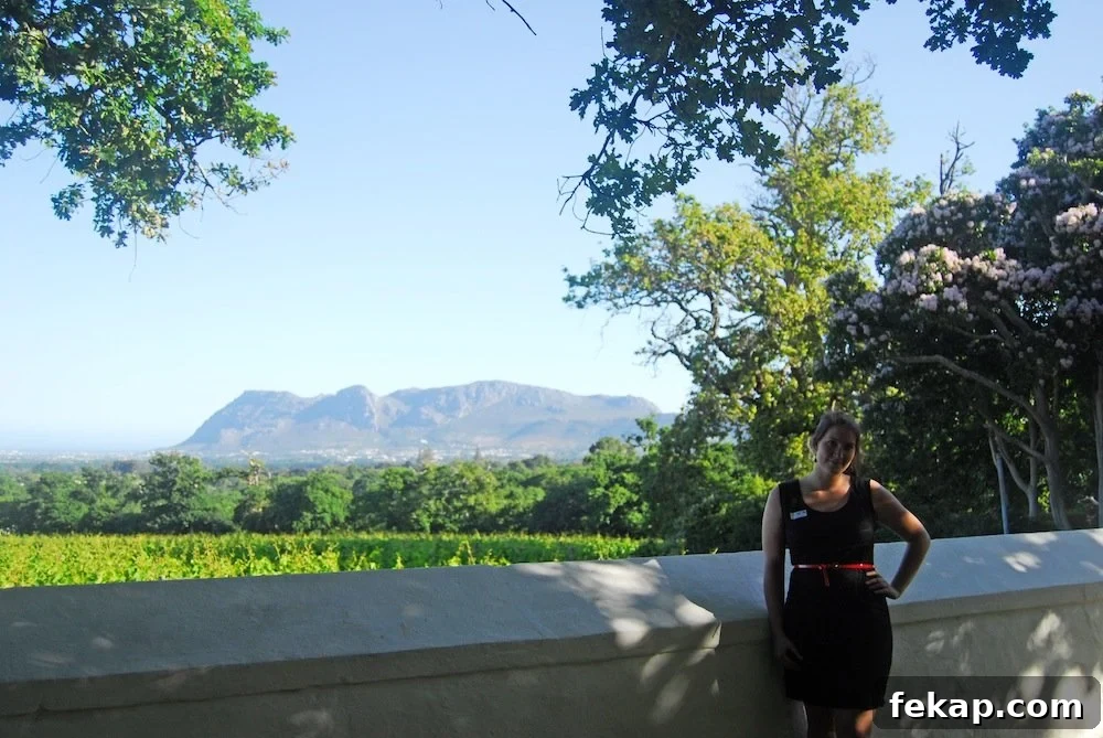 Leaving South Africa: Why I Said Goodbye 18 Groot Constantia Wine Estate