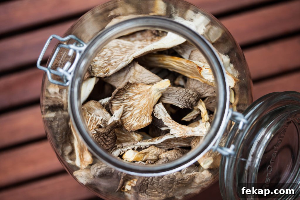 How to Identify and Pick Oyster Mushrooms