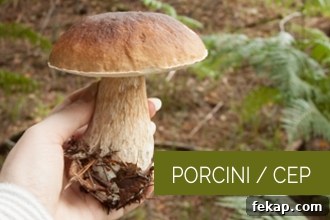 img 3574 9