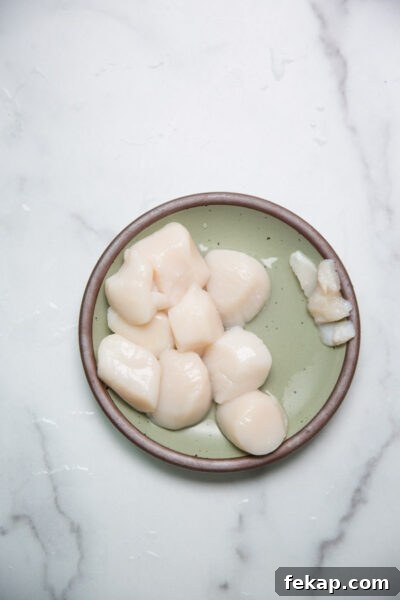 whole raw scallops on a plate