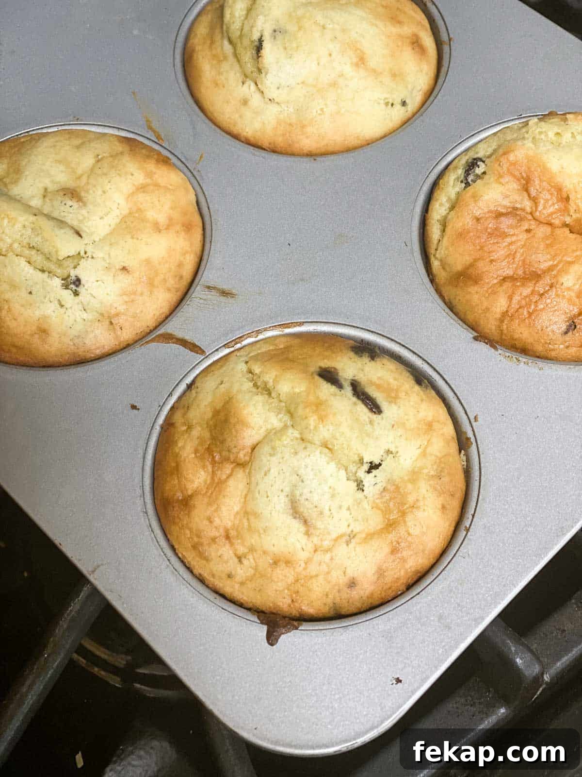 protein muffins in muffin tin