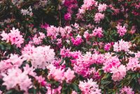 3 Sources of Inspiration That Fuel My Creativity