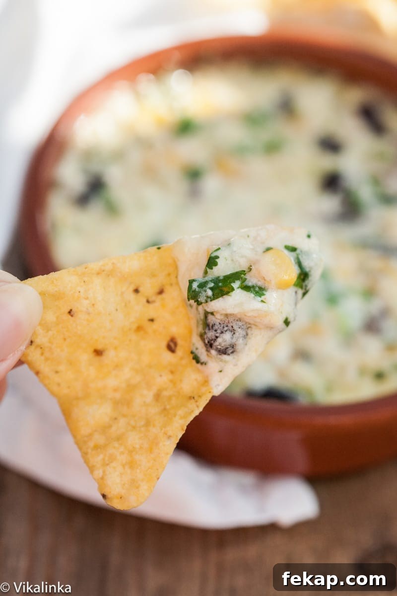 Smoked Cheddar Southwest Dip Recipe 3 a tortilla chip with cheesy dip on it