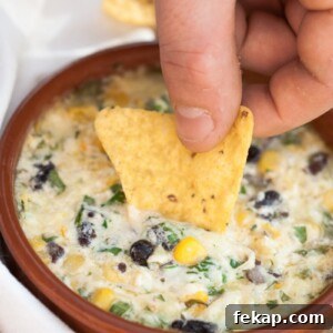 Smoked Cheddar Southwest Dip Recipe 5 a chip being dipped in a cheesy dip