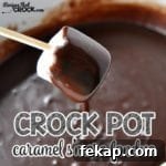 This Crock Pot Caramel S'More Fondue is a great treat that is easy to whip up!