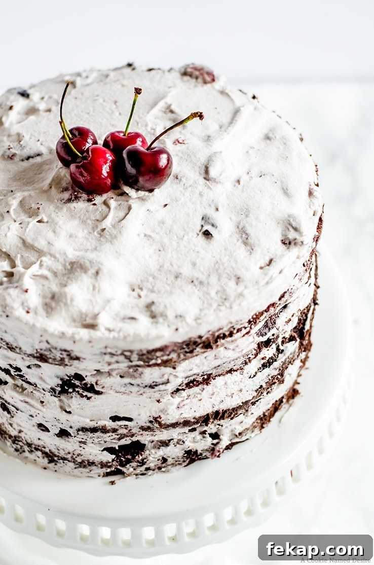 Chocolate Cherry Cake Recipe 3 A moist chocolate cherry cake with a rich chocolate cake and a smooth cherry swiss meringue buttercream