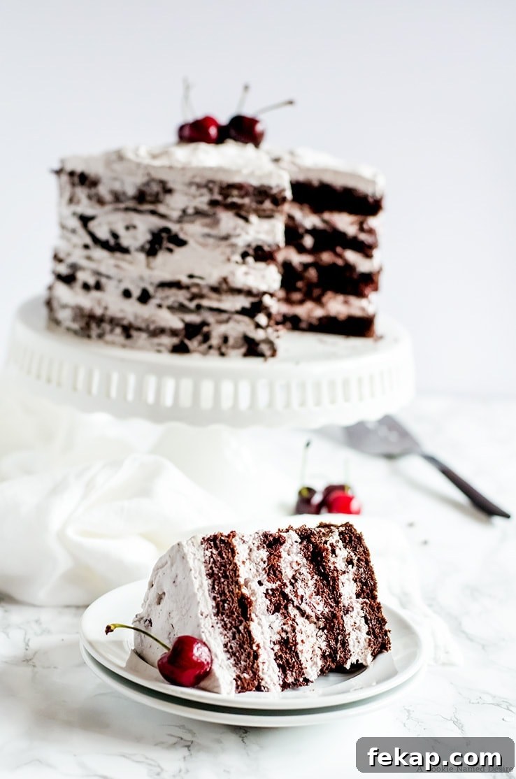 Chocolate Cherry Cake Recipe 4 A moist chocolate cherry cake with a rich chocolate cake and a smooth cherry swiss meringue buttercream