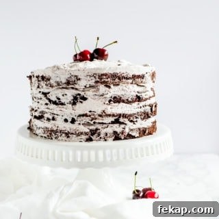 Chocolate Cherry Cake Recipe 5 A moist chocolate cherry cake with a rich chocolate cake and a smooth cherry swiss meringue buttercream