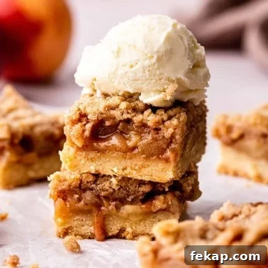 Homemade Raspberry Crumb Bars with Oat Streusel 18 Apple Pie Bars