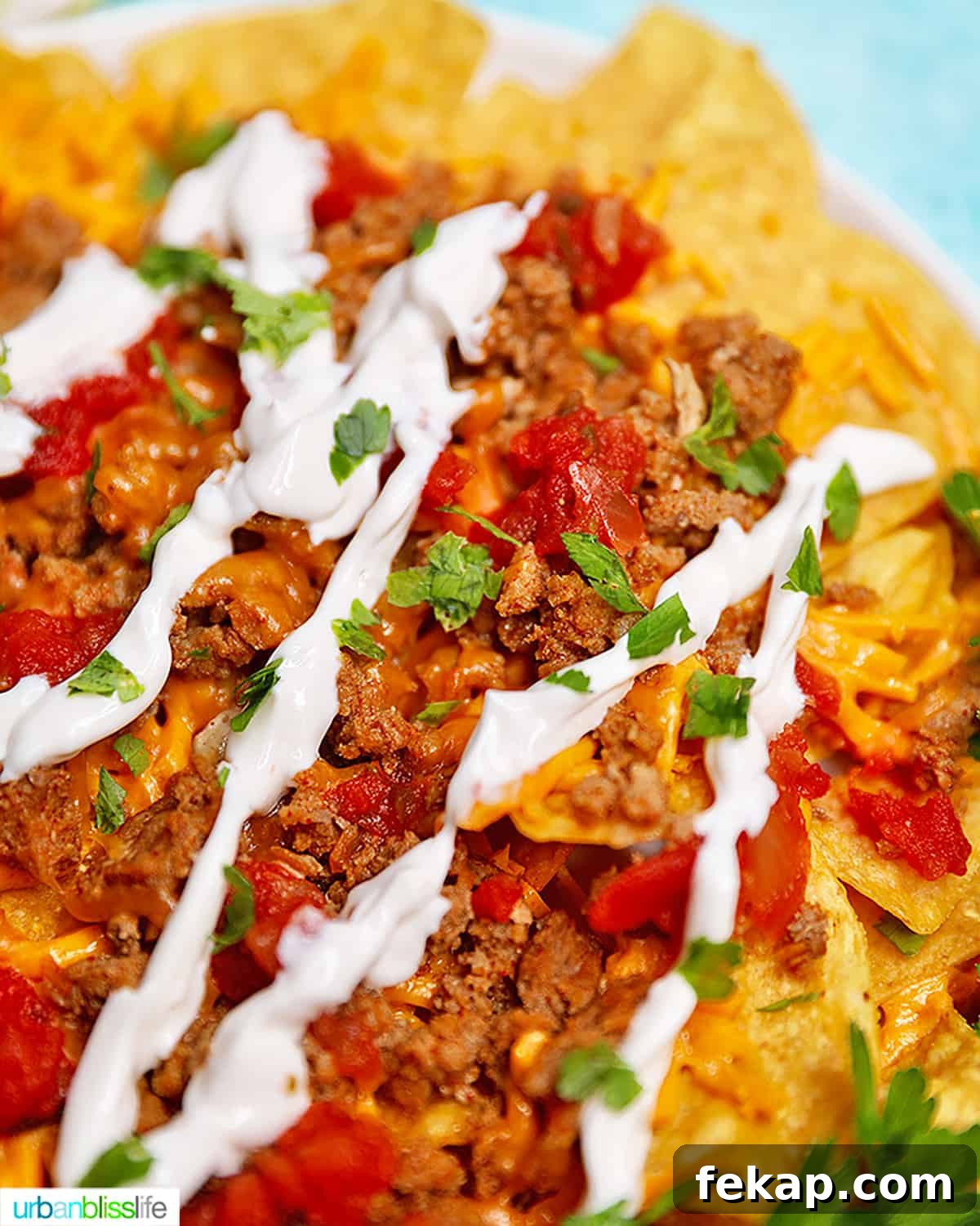 Instant Pot Taco Meat Recipe 8 close up nachos