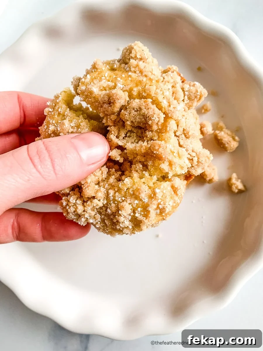 Coffee Cake Muffins with Cinnamon Streusel 8 Woman's hand holding cinnamon streusel muffins.