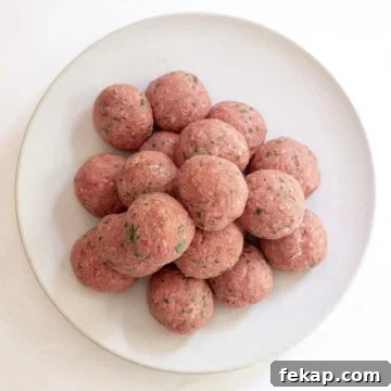 Crispy Italian Pan-Fried Meatballs Recipe 5 Raw meatballs on a plate.