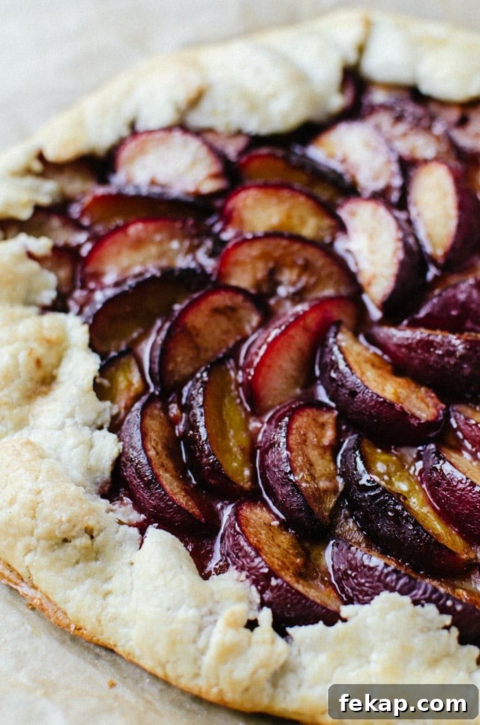 Plum Galette Recipe with Flaky Cinnamon Butter Crust 4 Close up showing details of plums