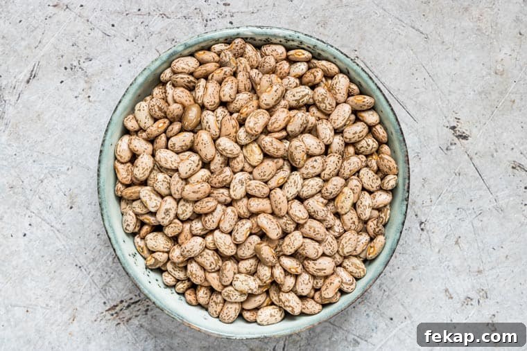 a bowl of dried pinto beans to use to make instant pot pinto beans