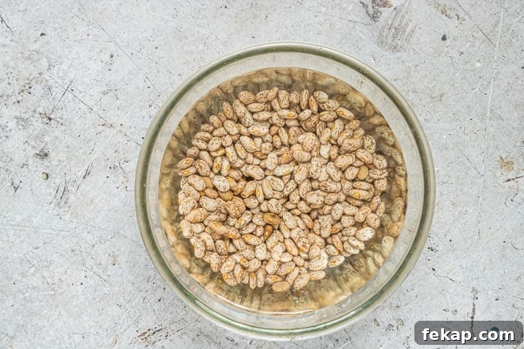 top down view of a bowl filled with uncooked pinto beans