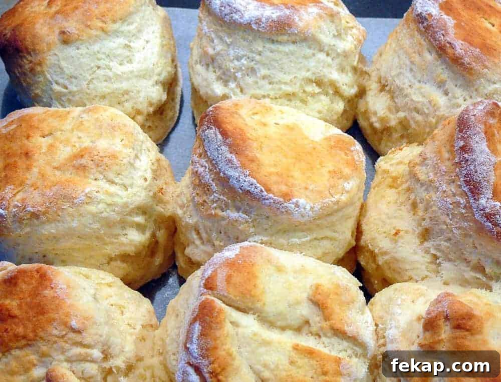 This is the Best Scone recipe I have ever tried! Light and fluffy scones made easily! #scones #bestscones #basicscones #sconesjamandcream Nine golden brown baked scones in 3 by 3 formation.